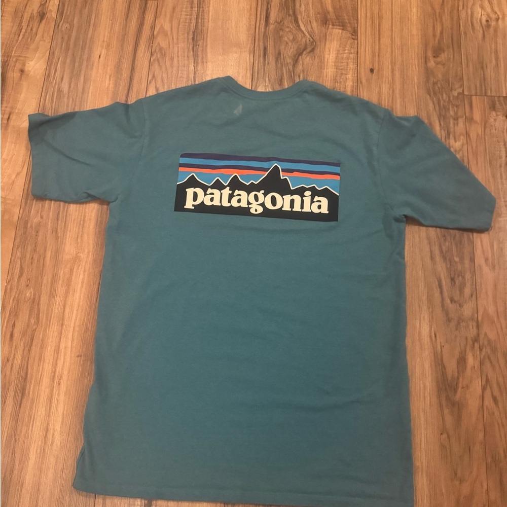 Patagonia Men's Teal Graphic Tee